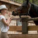 Améliorer le bien-être des chevaux grâce à la stabulation